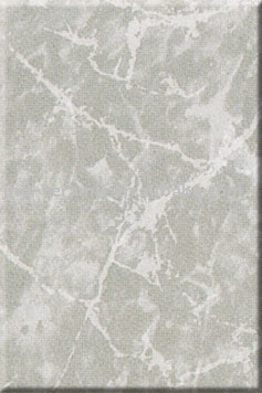 ceramic wall tile